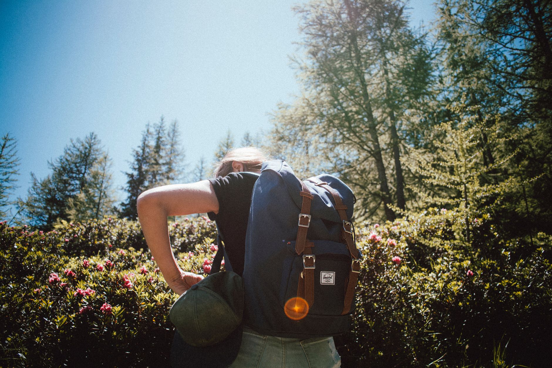 A hiker carrying a canvas backpack through a forest trail